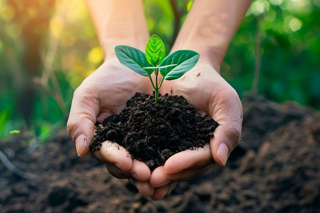 Premio Regional de Medio Ambiente 2025 en Castilla-La Mancha